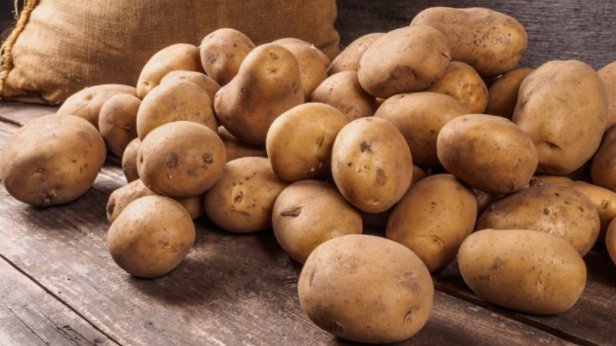 Pommes de terre belges fraîches